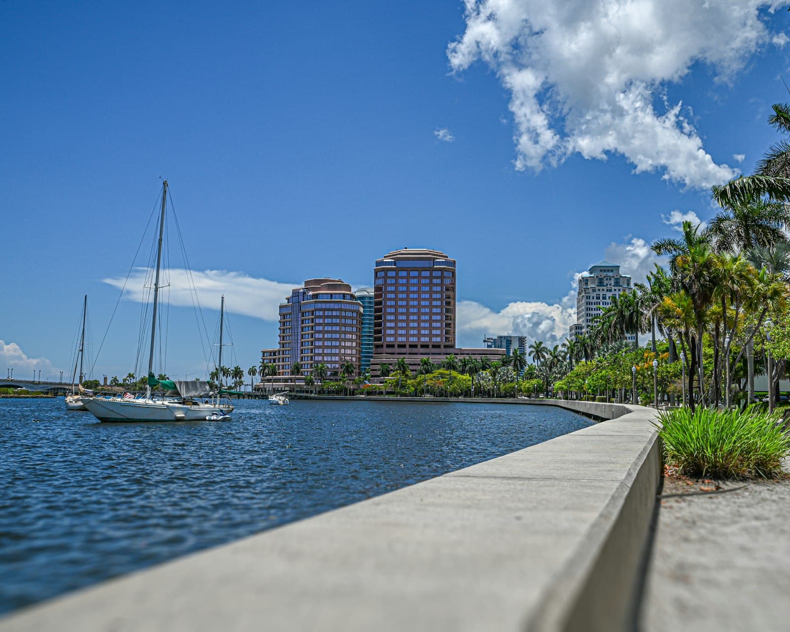 The palm-lined Flagler Drive waterfront path and seawall along the Intracoastal in West Palm Beach